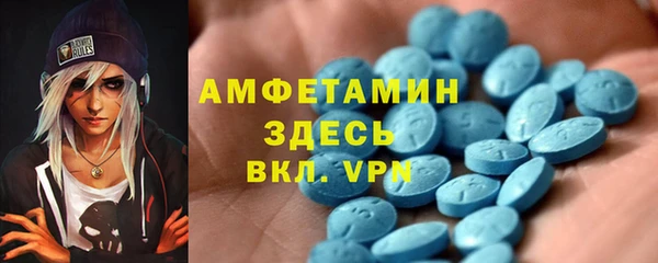 гидра Бронницы