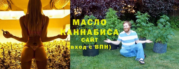 гидра Бронницы