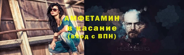 шишки Медногорск