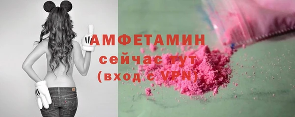 шишки Медногорск