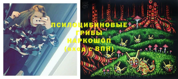 гидра Бронницы