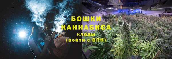 гидра Бронницы