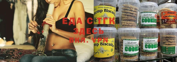 индика Медвежьегорск