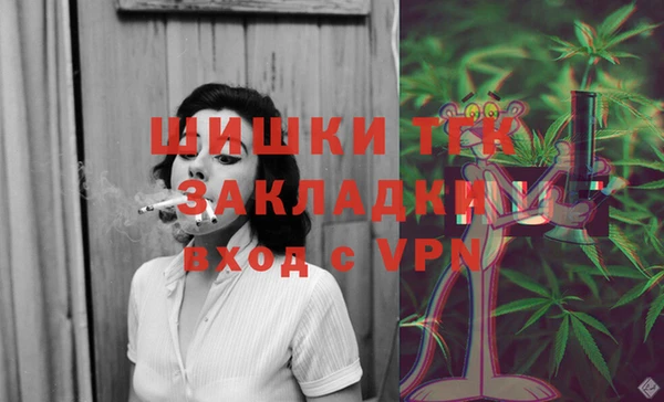 шишки Медногорск