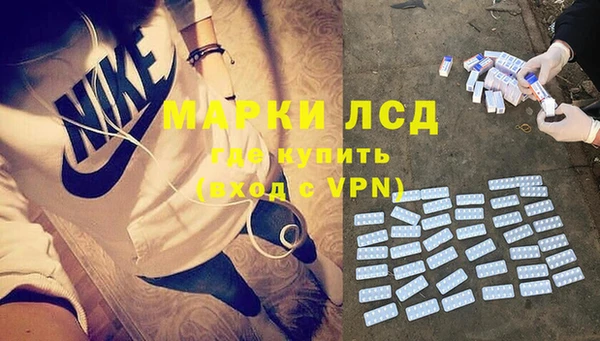индика Медвежьегорск