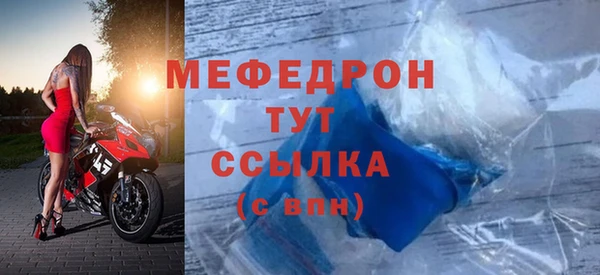 индика Медвежьегорск