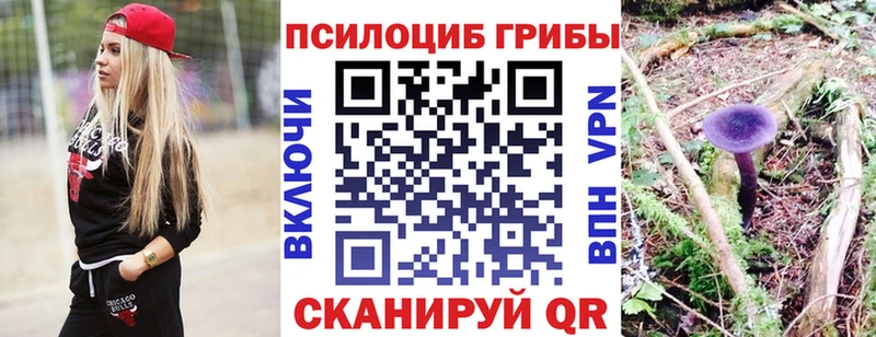 OMG вход  купить закладку  Венёв  Галлюциногенные грибы Cubensis 